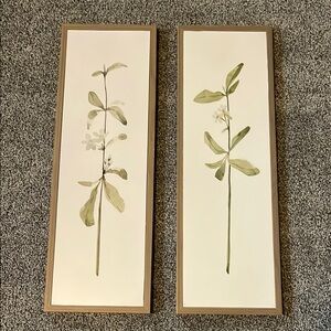 Botanical Wall Art Set - Green and Brown
